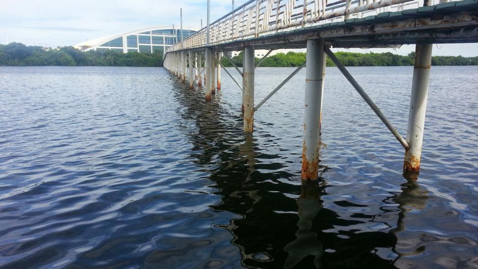 Puente sobre la Laguna del Carpintero en la ciudad mexicana de Tampico.
