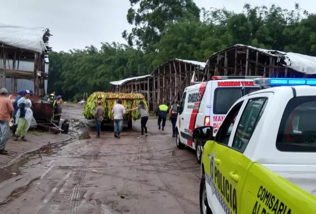 cocehcheros rescatados