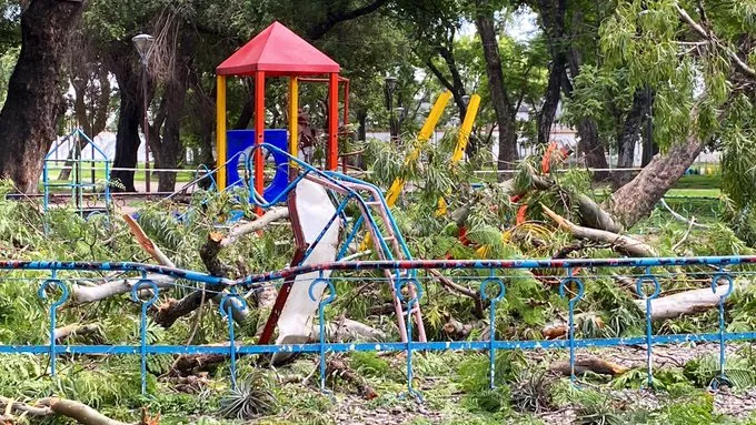 árbol cae sobre juegos infantiles, tomada de twitter de José Romero Silva