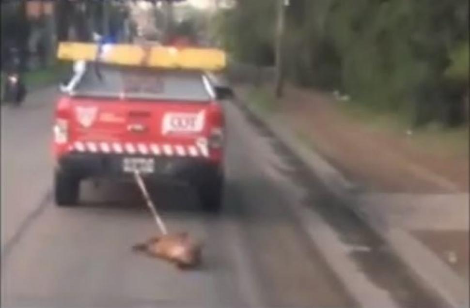 Captura de video