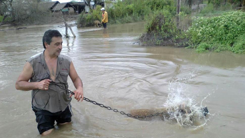 Fotos enviadas por Whatsapp