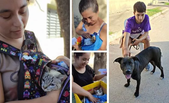 Centro de salud para mascotas en La Cocha
