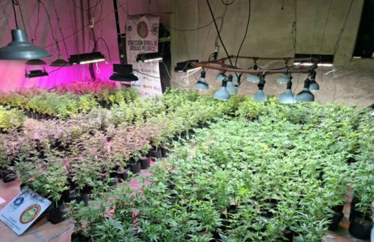 Plantines